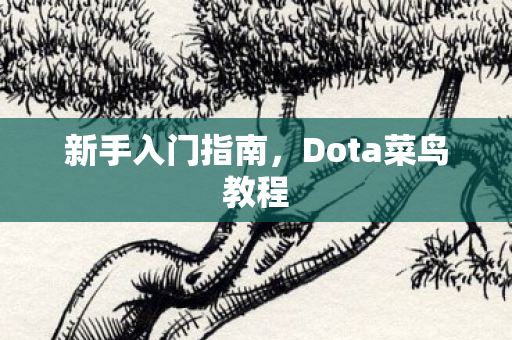 新手入门指南，Dota菜鸟教程