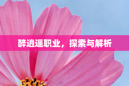 醉逍遥职业，探索与解析