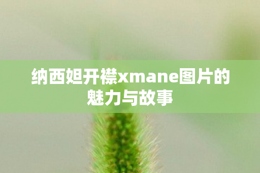 纳西妲开襟xmane图片的魅力与故事