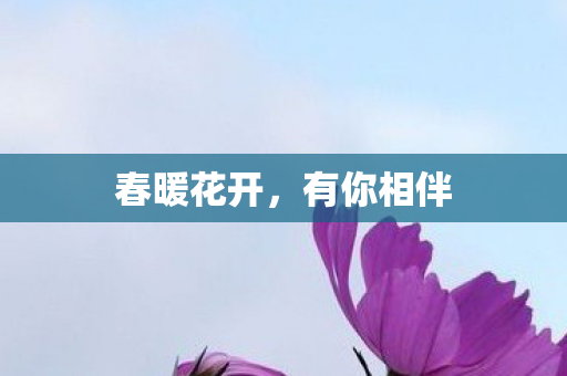 春暖花开，有你相伴
