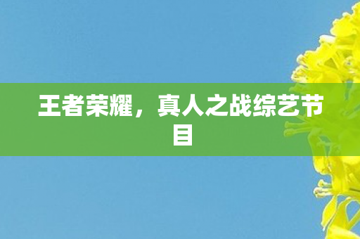 王者荣耀，真人之战综艺节目