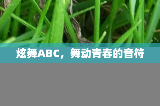 炫舞ABC，舞动青春的音符