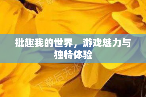 批趣我的世界，游戏魅力与独特体验