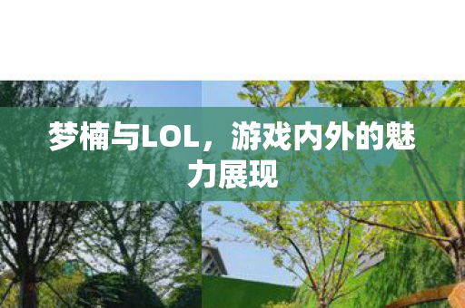 梦楠与LOL，游戏内外的魅力展现