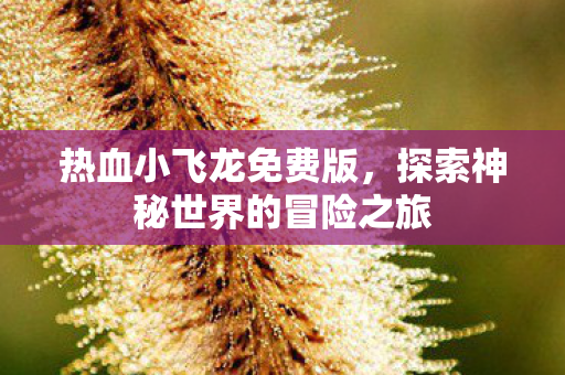 热血小飞龙免费版，探索神秘世界的冒险之旅