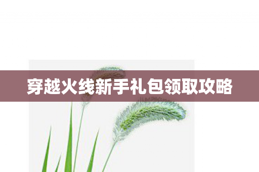 穿越火线新手礼包领取攻略