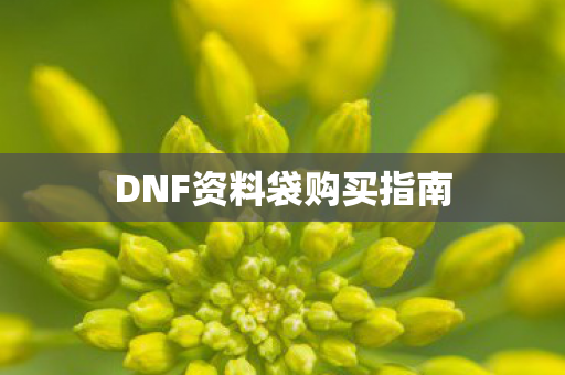 DNF资料袋购买指南