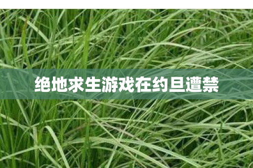 绝地求生游戏在约旦遭禁