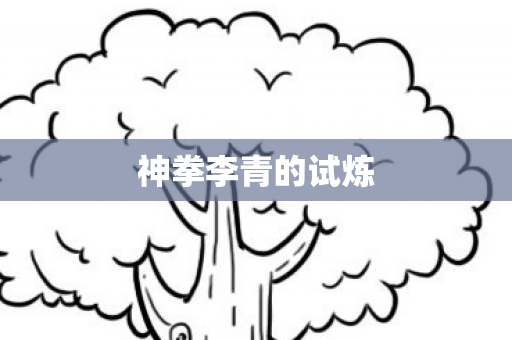 神拳李青的试炼