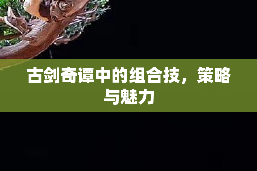 古剑奇谭中的组合技，策略与魅力