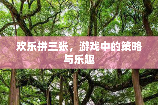 欢乐拼三张，游戏中的策略与乐趣