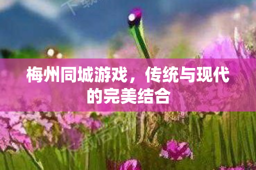 梅州同城游戏，传统与现代的完美结合