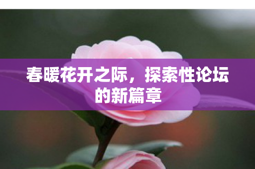 春暖花开之际，探索性论坛的新篇章