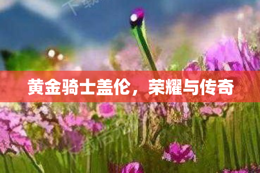 黄金骑士盖伦，荣耀与传奇