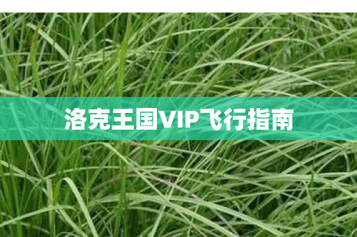 洛克王国VIP飞行指南 洛克王国VIP飞行指南