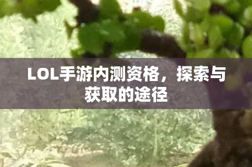 LOL手游内测资格，探索与获取的途径