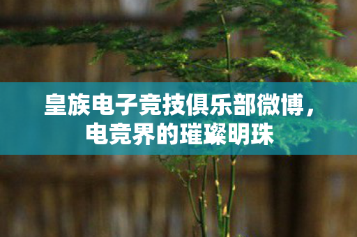皇族电子竞技俱乐部微博，电竞界的璀璨明珠