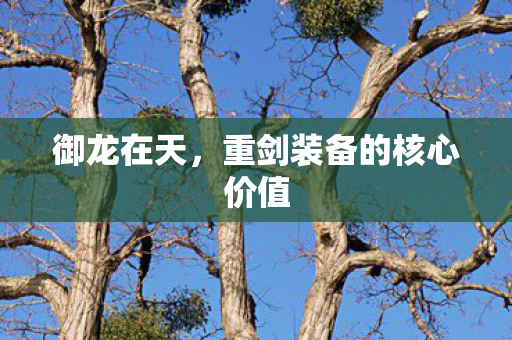 御龙在天，重剑装备的核心价值