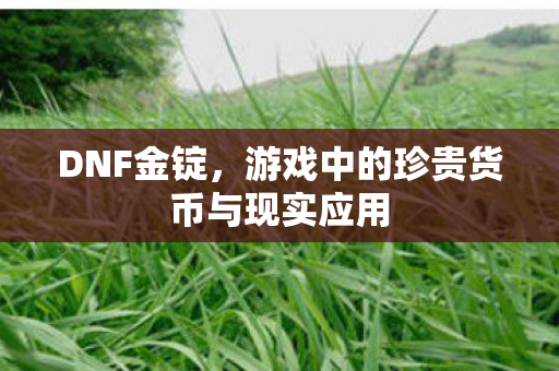 DNF金锭，游戏中的珍贵货币与现实应用