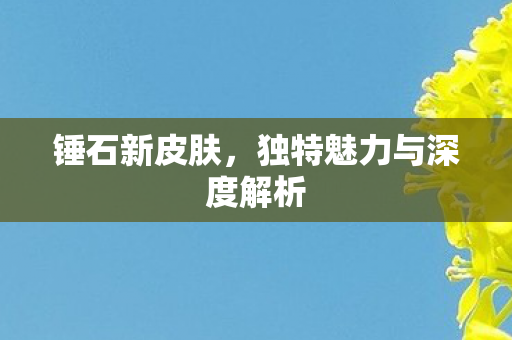 锤石新皮肤，独特魅力与深度解析
