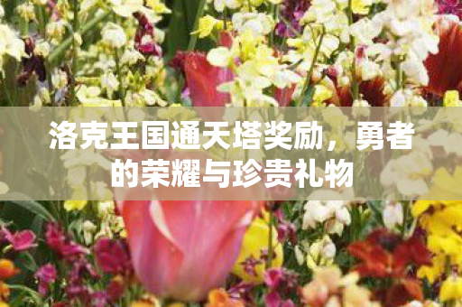 洛克王国通天塔奖励，勇者的荣耀与珍贵礼物