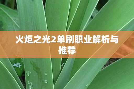 火炬之光2单刷职业解析与推荐