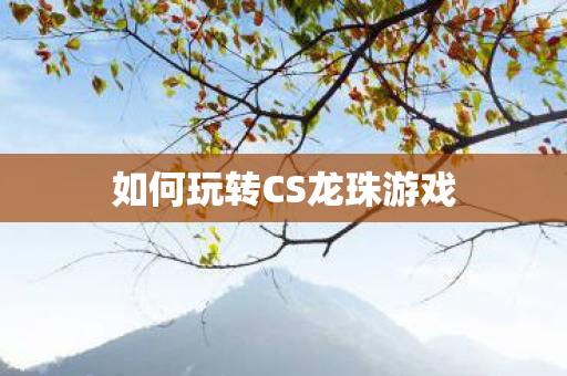 如何玩转CS龙珠游戏