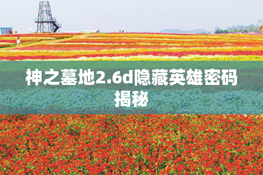神之墓地2.6d隐藏英雄密码揭秘