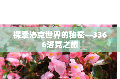 探索洛克世界的秘密—3366洛克之旅