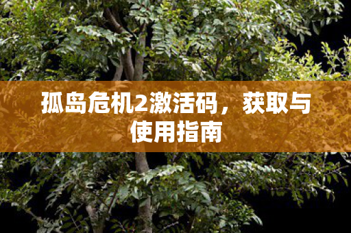 孤岛危机2激活码，获取与使用指南