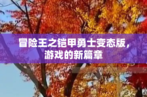 冒险王之铠甲勇士变态版，游戏的新篇章