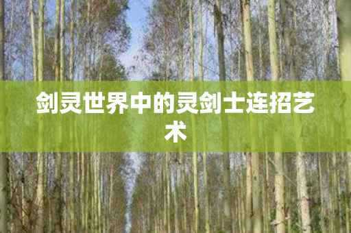 剑灵世界中的灵剑士连招艺术