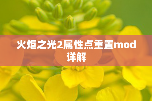 火炬之光2属性点重置mod详解