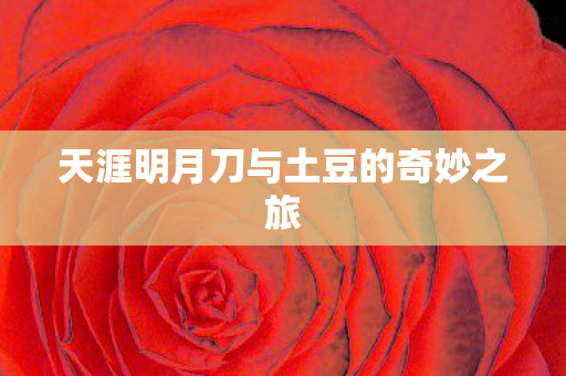 天涯明月刀与土豆的奇妙之旅