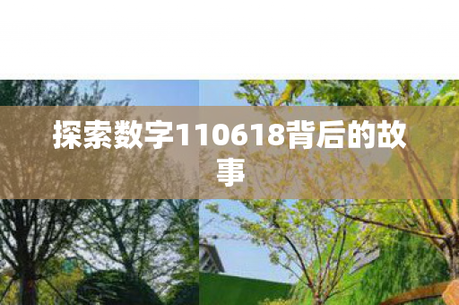 探索数字110618背后的故事