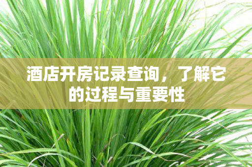 酒店开房记录查询，了解它的过程与重要性