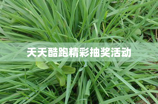 天天酷跑精彩抽奖活动