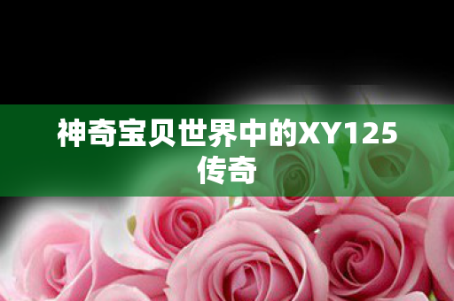 神奇宝贝世界中的XY125传奇