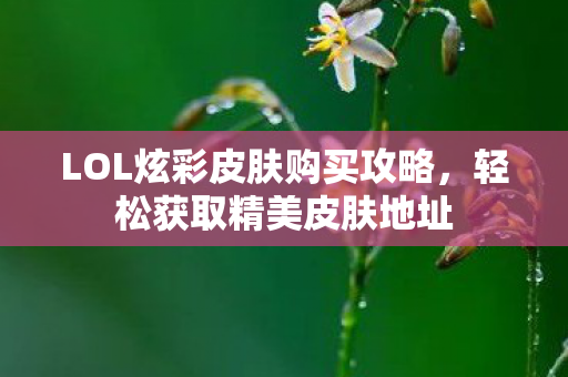 LOL炫彩皮肤购买攻略，轻松获取精美皮肤地址