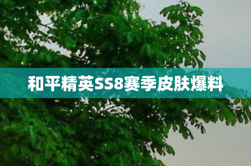 和平精英SS8赛季皮肤爆料