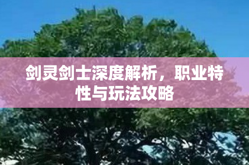 剑灵剑士深度解析，职业特性与玩法攻略