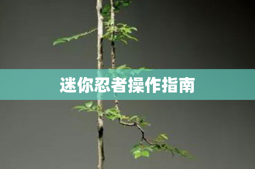 迷你忍者操作指南