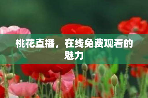 桃花直播，在线免费观看的魅力