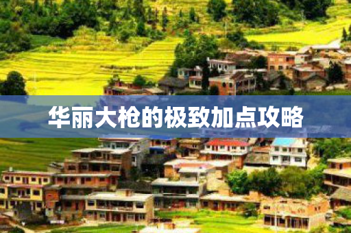 华丽大枪的极致加点攻略