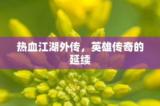热血江湖外传，英雄传奇的延续
