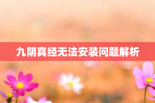 九阴真经无法安装问题解析