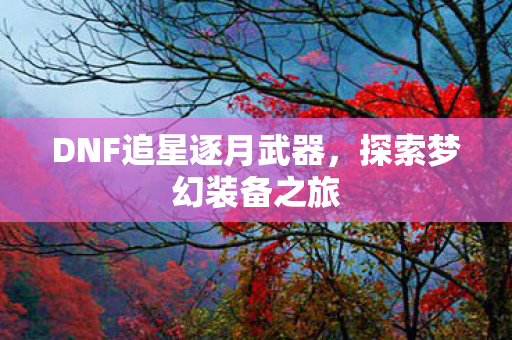 DNF追星逐月武器，探索梦幻装备之旅