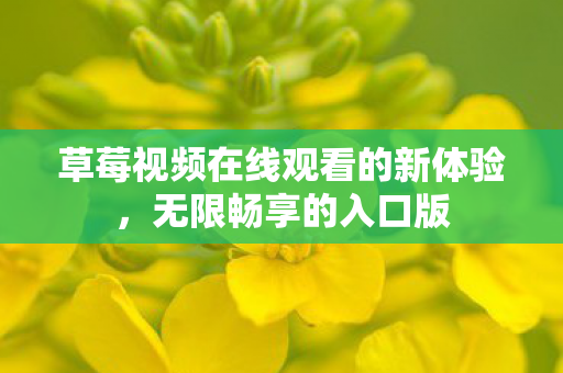 草莓视频在线观看的新体验，无限畅享的入口版