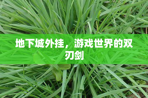 地下城外挂，游戏世界的双刃剑