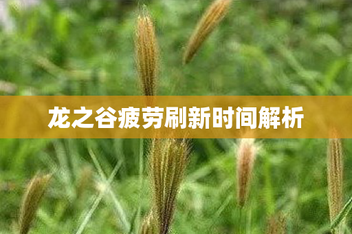 龙之谷疲劳刷新时间解析